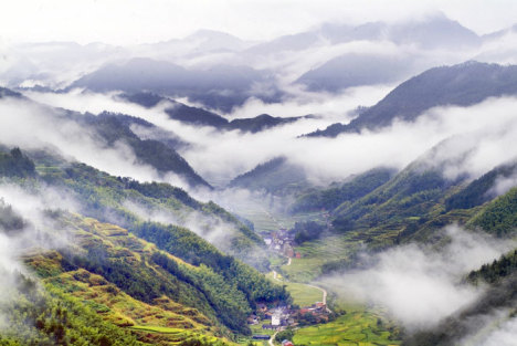 山东德州城区发生大面积停电